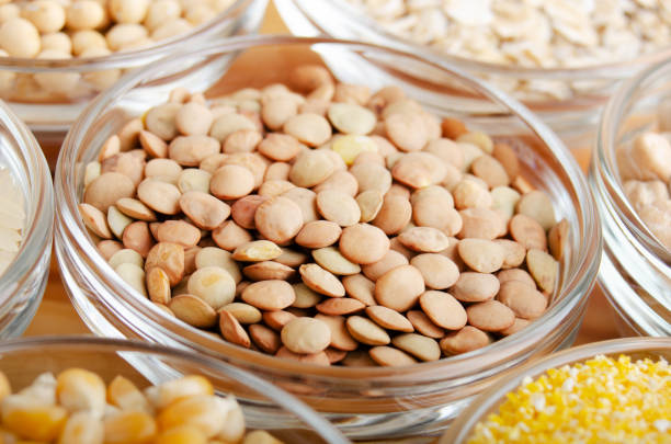 تصویر 4 از عدس مرغوب غنی از فیبر و آهن مناسب رژیم های غذایی سالم