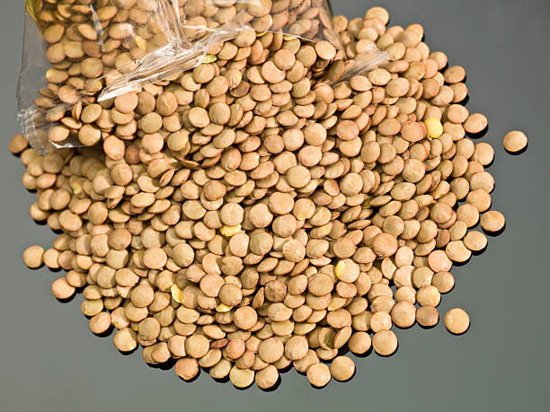 فروش عدس