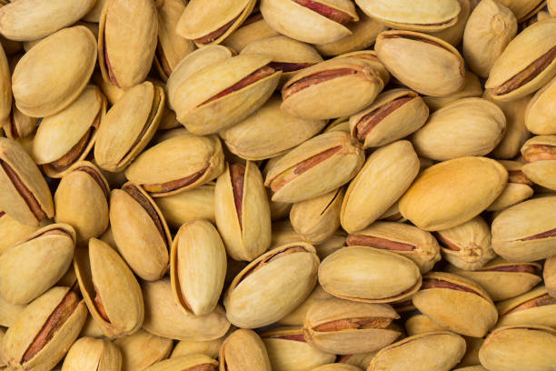 پسته احمد آقایی خام در گرید های مختلف از دانه ریز تا دانه درشت