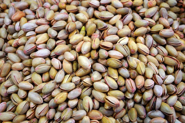 تصویر 3 از پسته احمد آقایی خام در گرید های مختلف از دانه ریز تا دانه درشت