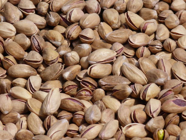 تصویر 5 از پسته احمد آقایی درجه یک دانه درشت با درصد خندان بالای نود درصد