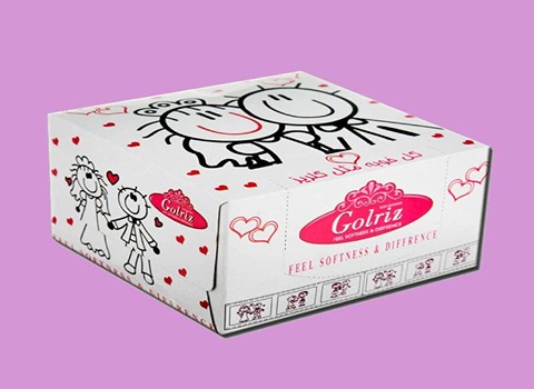 تصویر 2 از دستمال کاغذی گلریز 100 برگ اقتصادی برای استفاده روزانه