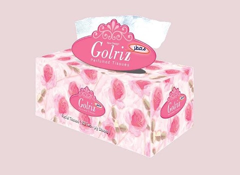 تصویر 3 از دستمال کاغذی گلریز 100 برگ اقتصادی برای استفاده روزانه