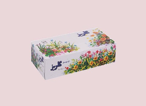 تصویر 4 از دستمال کاغذی گلریز 100 برگ اقتصادی برای استفاده روزانه