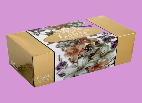 دستمال کاغذی گلریز 100 برگ اقتصادی برای استفاده روزانه