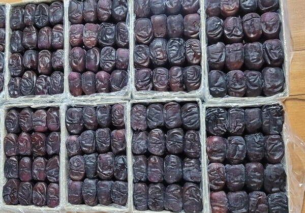 تصویر 2 از خرما مضافتی کیلویی درجه‌ بندی شده صادراتی