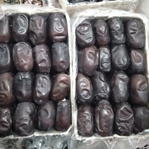 قیمت خرمای صادراتی مضافتی امروز + شرایط صادرات و خرید