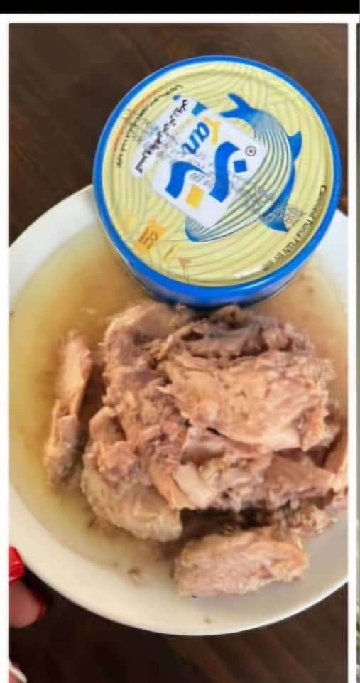 خرید عمده کنسرو تن ماهی زرده تان