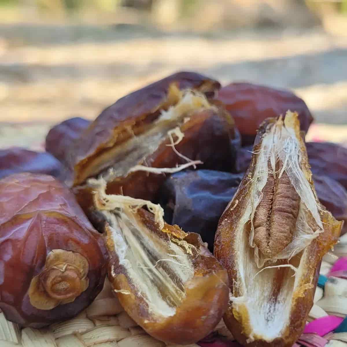 تصویر 4 از خرما زاهدی پیارم نرم و تازه برای مصرف روزانه