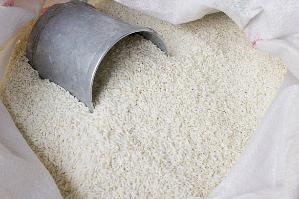 تصویر 4 از برنج دونوج شمال محصول شالیزار های شمالی دانه بلند و مرغوب