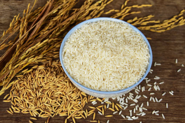 تصویر 3 از برنج دونوج شمال محصول شالیزار های شمالی دانه بلند و مرغوب