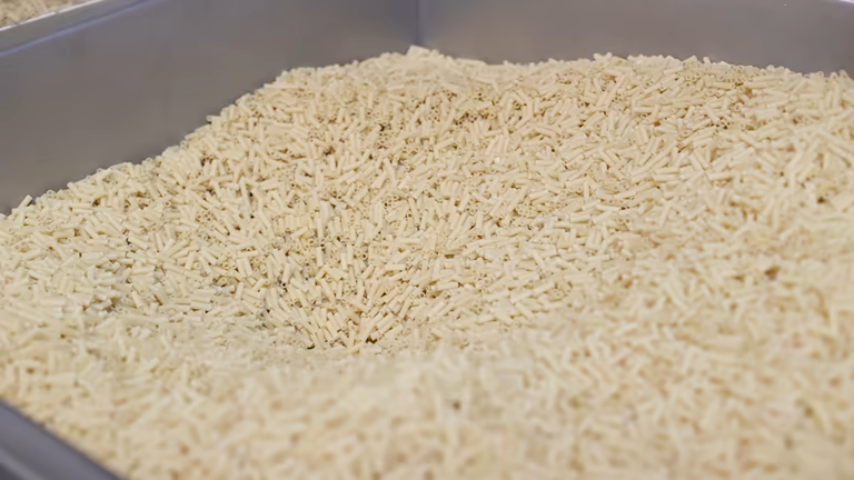 تصویر 2 از برنج دونوج شمال محصول شالیزار های شمالی دانه بلند و مرغوب