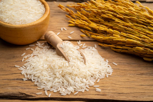 برنج دونوج شمال محصول شالیزار های شمالی دانه بلند و مرغوب