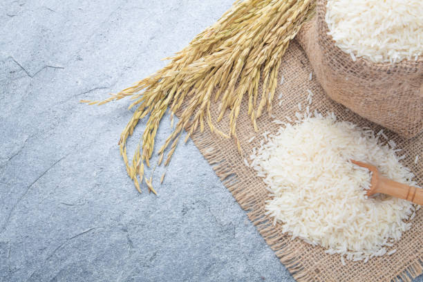 تصویر 2 از برنج دونوج هاشمی کشت سال جدید با رنگ سفید شیری