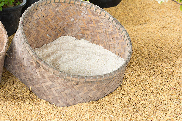 تصویر 3 از برنج دونوج فرونکنار در بسته بندی 10 تا 40 کیلویی استاندارد بهداشتی