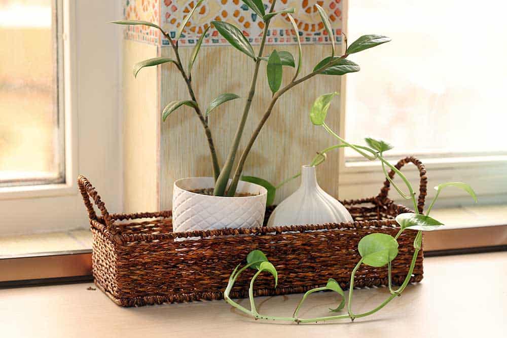 سبد مستطیل فانتزی با ظاهر مدرن و جذاب