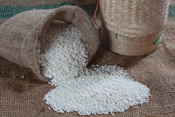 تصویر 2 از برنج ایرانی دونوج کشت ارگانیک بدون سم و کود شیمیایی مضر