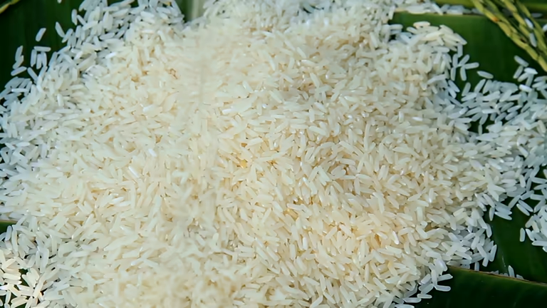 تصویر 3 از برنج دونوج کشت دوم محصول مزارع رشت و لاهیجان با طعم اصیل