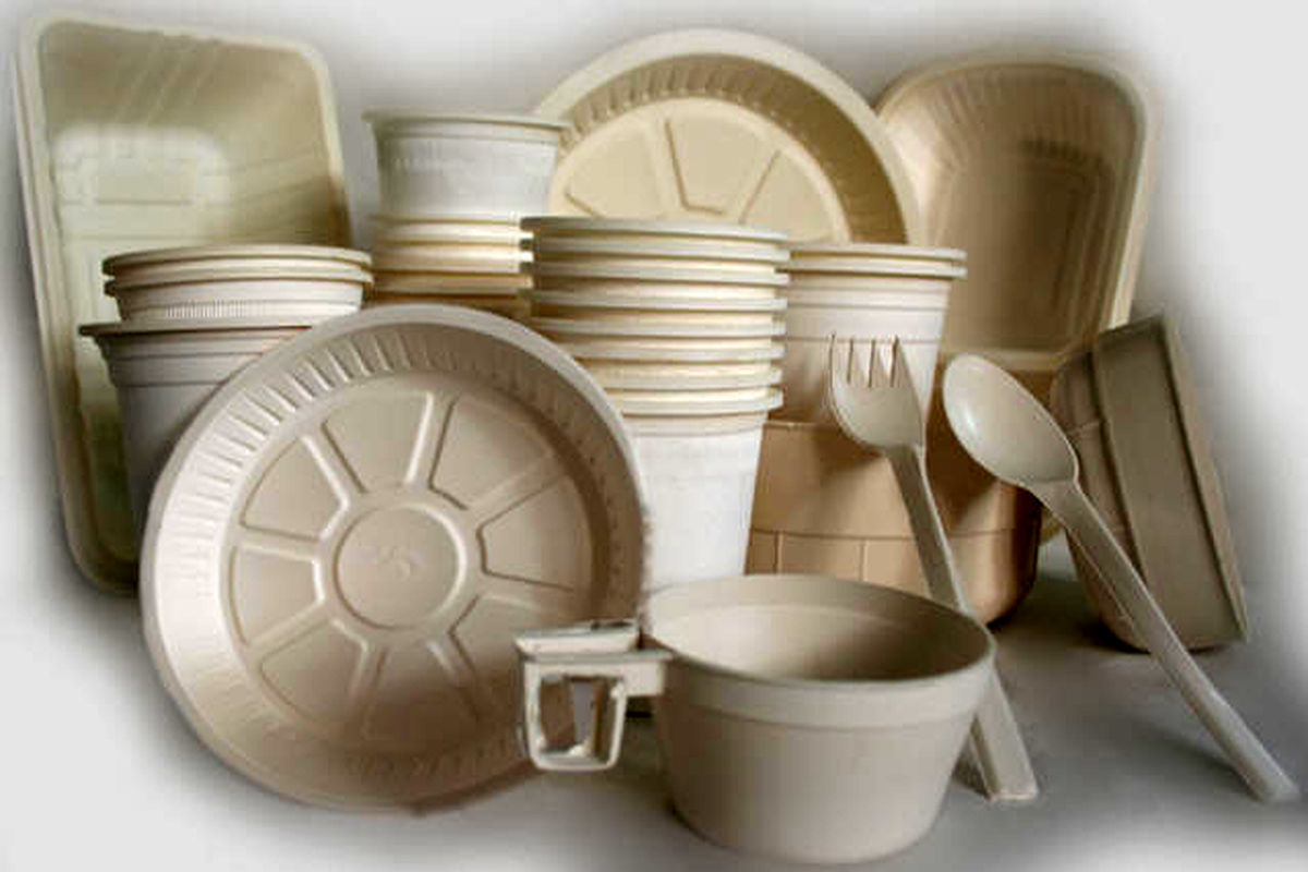 تصویر 3 از فروش ظروف یکبار مصرف فومی + قیمت خرید به صرفه