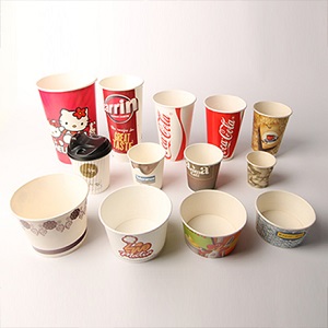 تصویر 3 از قیمت خرید ظروف یکبار مصرف عمده به صرفه و ارزان