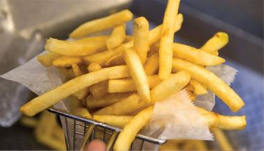 تصویر 2 از فرنچ فرایز بلژیکی گابریل فروش عمده قیمت رقابتی + کیفیت صادراتی