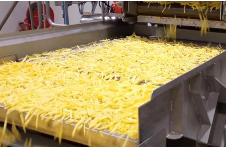 تصویر 1 از فرنچ فرایز بلژیکی گابریل فروش عمده قیمت رقابتی + کیفیت صادراتی