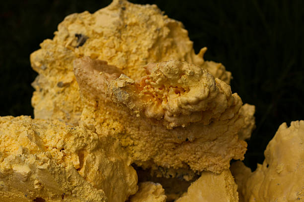 تصویر 4 از گوگرد بنتونیت دار تصفیه شده با خلوص مختلف مناسب تولید کود