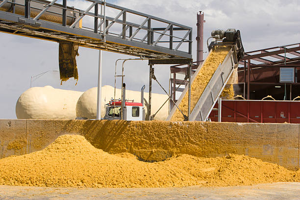 تصویر 3 از گوگرد بنتونیت دار تصفیه شده با خلوص مختلف مناسب تولید کود