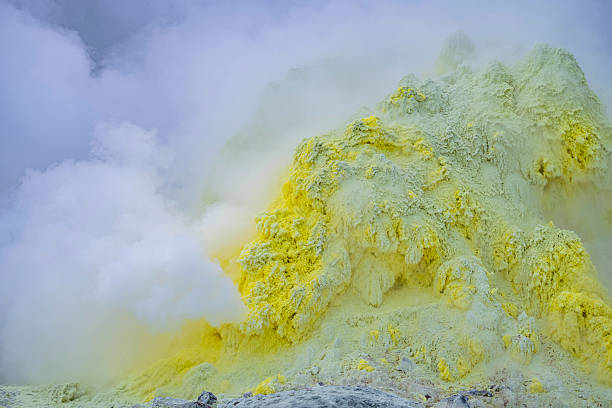 تصویر 4 از گوگرد برای انگور قابل محلول در آب مخصوص باغداری