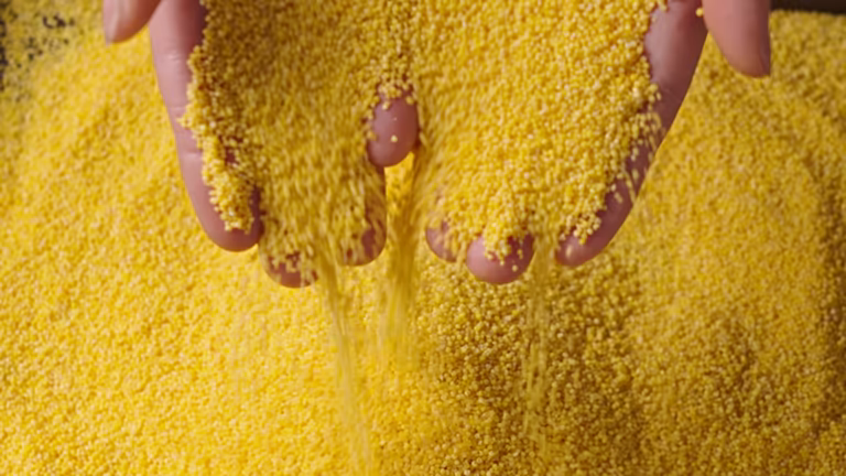 تصویر 1 از گوگرد برای دفع عقرب با اثر بازدارندگی طولانی مدت و ماندگار