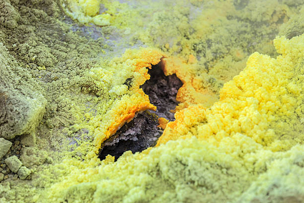 تصویر 4 از گوگرد حشره کش مناسب استفاده در انبار و زیرزمین با اثر بخشی بالا