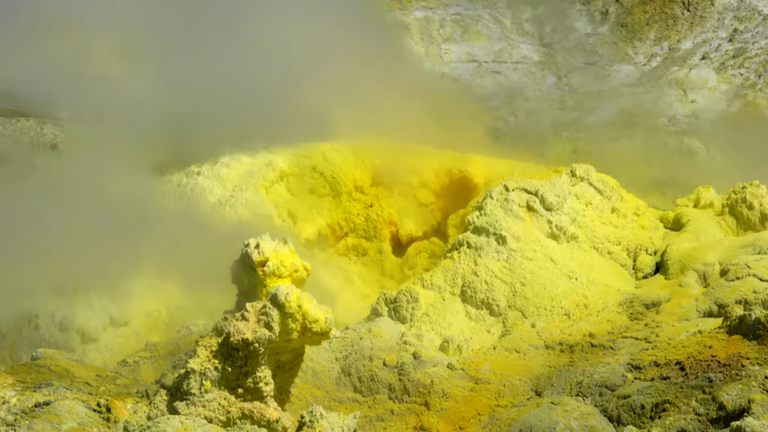 تصویر 2 از گوگرد حشره کش مناسب استفاده در انبار و زیرزمین با اثر بخشی بالا