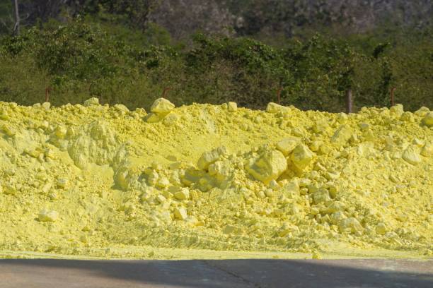 تصویر 2 از گوگرد حشرات با اثر دفع کننده بلندمدت تا سه ماه متوالی