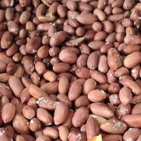 تصویر 1 از بادام زمینی شور ریز پرطرفدار بازار آجیل