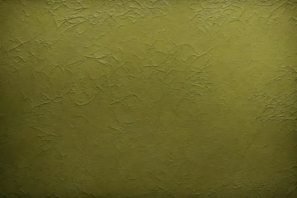 رنگ پلاستیک زیتونی با کیفیت مناسب دیوار و سقف