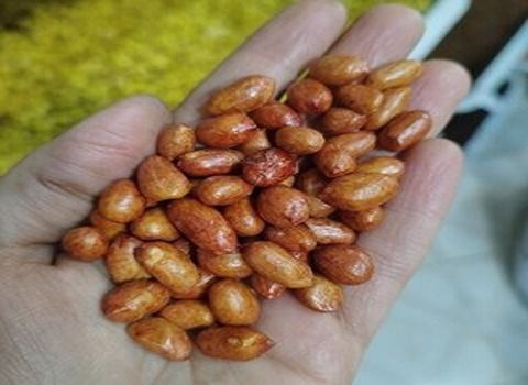 تصویر 2 از بادام زمینی کپسولی آبلیمویی مناسب پذیرایی و مصرف روزانه