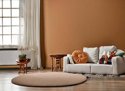 تصویر 4 از رنگ پلاستیک نخودی با قدرت پوشانندگی بالا و اجرای آسان