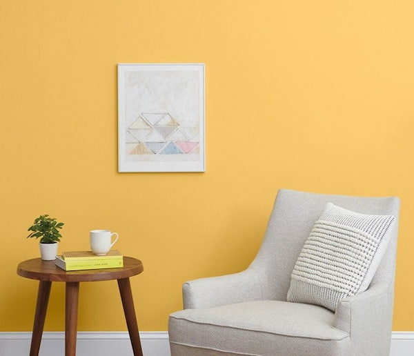 تصویر 1 از رنگ پلاستیک گل ماشی استاندارد مناسب استفاده در مدارس