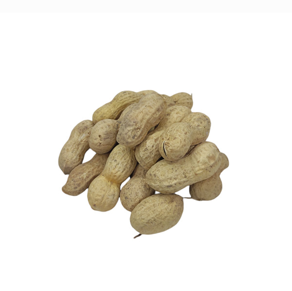 تصویر 2 از بادام زمینی با پوست شور مناسب بازار و فروشگاه‌ ها