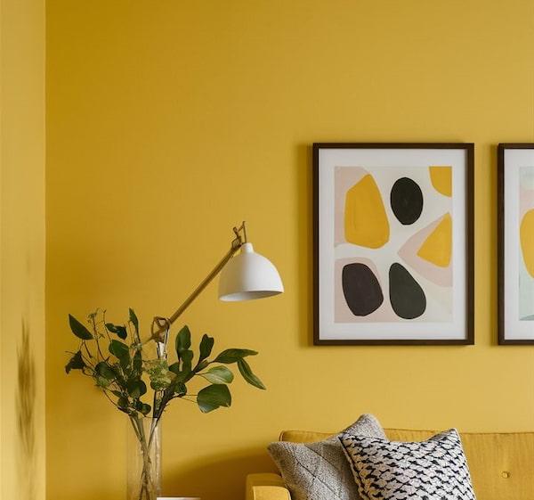 رنگ پلاستیک گل ماش با چسبندگی عالی روی سطوح گچی