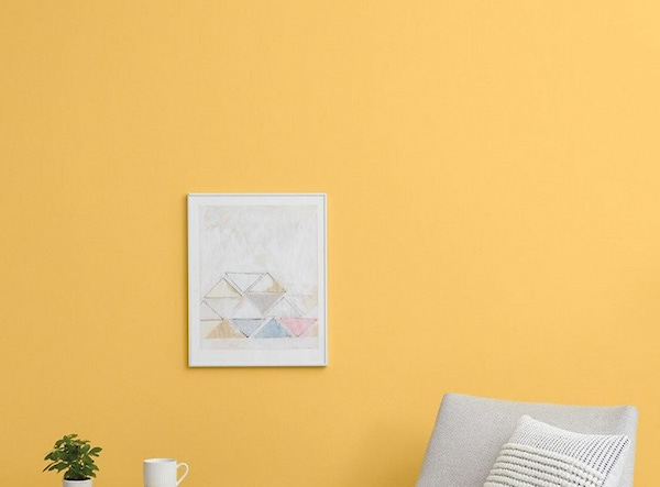 تصویر 3 از رنگ پلاستیک گل ماش با چسبندگی عالی روی سطوح گچی