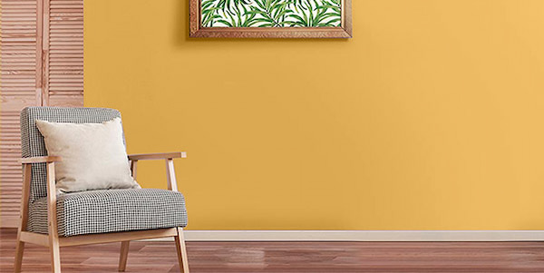 تصویر 4 از رنگ پلاستیک گل ماش با چسبندگی عالی روی سطوح گچی