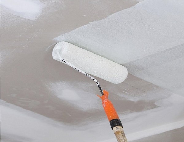 تصویر 2 از رنگ پلاستیک صدفی مخصوص نقاشی سقف با جلوه مات و تمیز