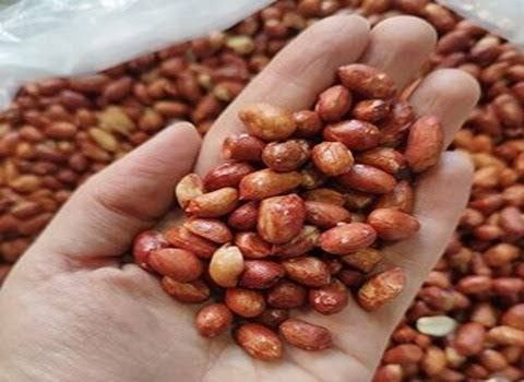 قیمت بادام زمینی