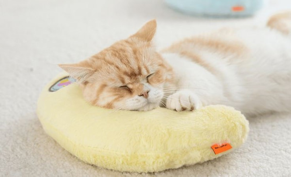 تصویر 1 از بالشت گربه استاندارد برای خواب عمیق و آرام