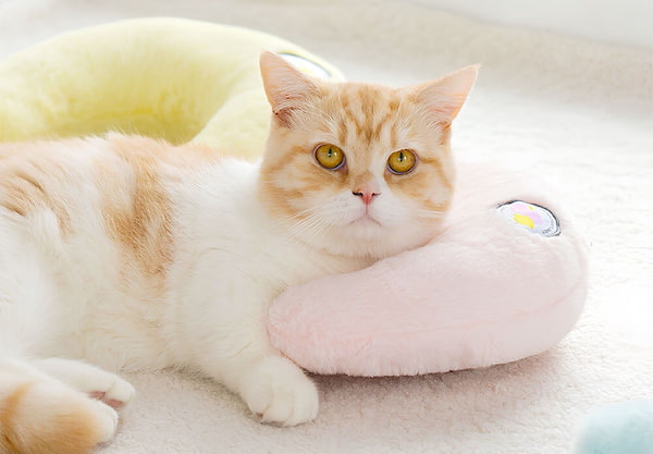 تصویر 2 از بالشت گربه استاندارد برای خواب عمیق و آرام