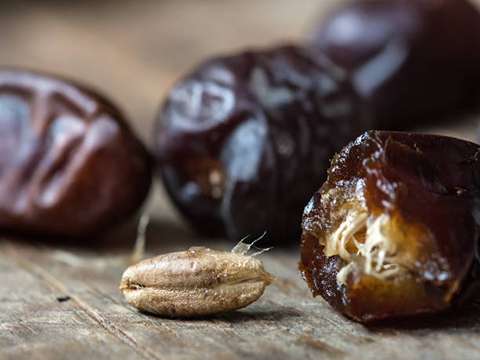 تصویر 4 از قیمت خرما مضافتی ایرانشهر با کیفیت ارزان + خرید عمده