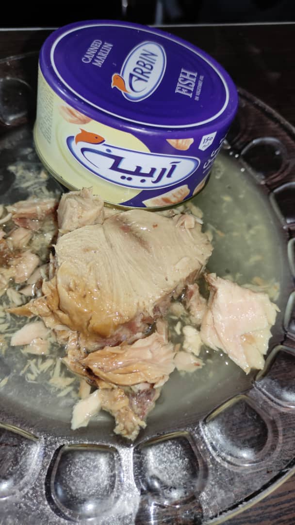 فروش عمده کنسرو تن ماهی اربین