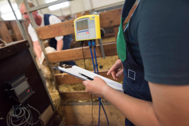 تصویر 1 از باسکول دام کش فلزی ضد زنگ با چهار سنسور لودسل دقیق