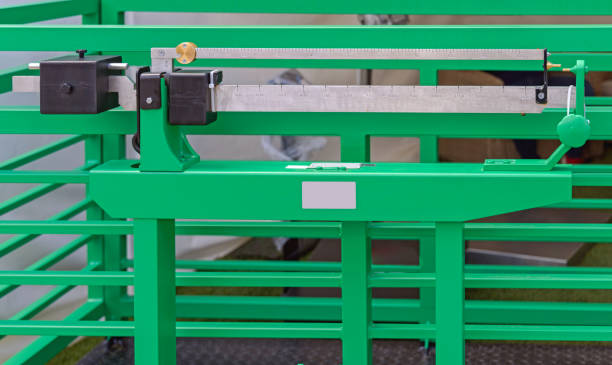 تصویر 4 از باسکول دام کش فلزی ضد زنگ با چهار سنسور لودسل دقیق